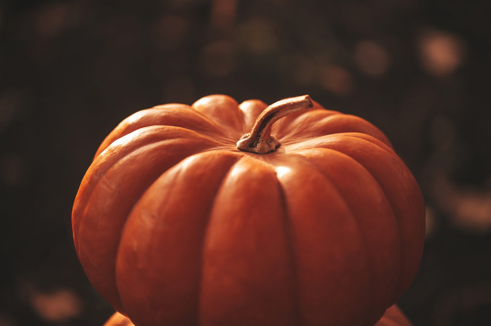 Scary Jack O Lantern halloween pumpkins in sun day on ground among dry leaves at street. Hallows eve decoration funny glow pumpkin with candles on candlestick at fall background in open air near house